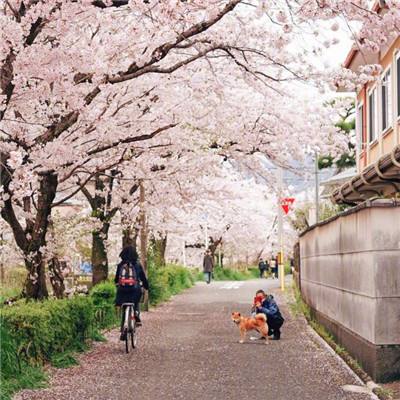 防疫、天气……重要提醒，事关“双节”