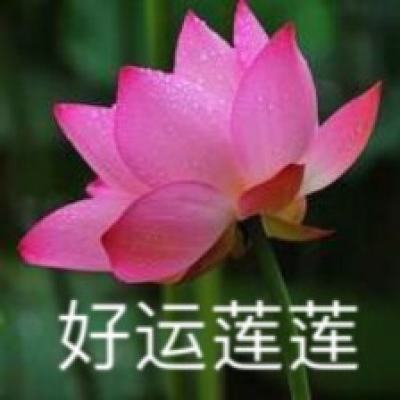 习近平在省部级主要领导干部学习贯彻党的二十届三中全会精神专题研讨班开班式上发表重要讲话