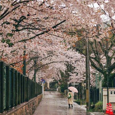 一觉醒来，日本政坛大地震