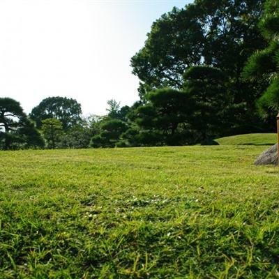 九寨沟景区40岁以上免门票？假的