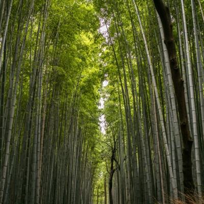 四川山体滑坡已致1人遇难28人失联 救援正在进行