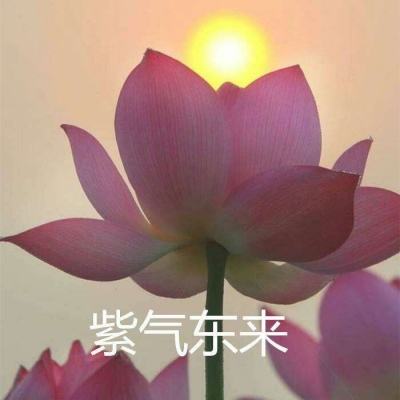 2025上海慕展：安芯易携万元“芯...